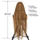 Daily Wear Braided Wig