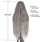 Fashionable Braided Wig