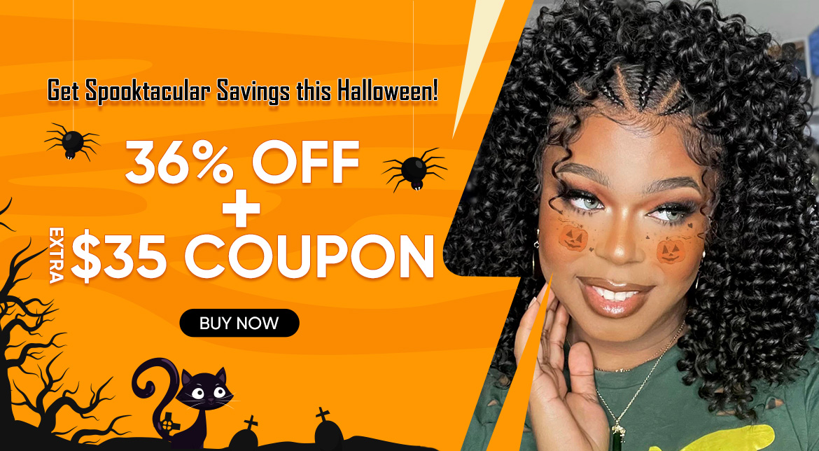 High Quality Synthetic Braided Full Lace Front Wigs For Women ...