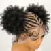 Braided Wig