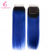 1B Blue Hair