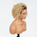 blonde ombre wig human hair