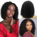 short curly lace front wigs