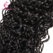 Curly Wave Hair Bundles