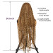 Daily Wear Braided Wig