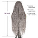 Fashionable Braided Wig