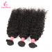 Kinky Curly 3 Bundles