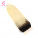Ombre 1B613 Straight Hair