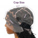 Pre-Plucked Baby Hair Full Lace Wig